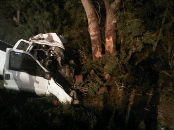 14 imigrantov zahynulo po tom, čo pickup zišiel z cesty a narazil do stromov