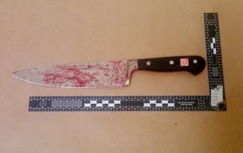 Zakrvavený kuchynský nôž - ilustračné foto