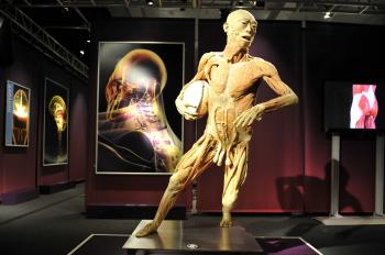 Výstavu The Human Body si možno pozrieť na bratislavskom výstavisku Incheba