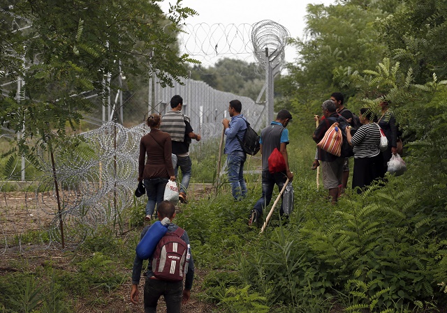 Tak, a teraz stop! Migranti zo Sýrie sa pozerajú na plot na srbskej hranici s Maďarskom pri srbskom meste Hajdukovo. 