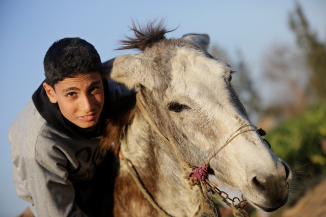 Na snímke štrnásťročný farmár Ahmed Ajman so svojím somárom