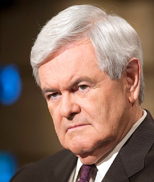 Newt Gingrich Foto:Facebook