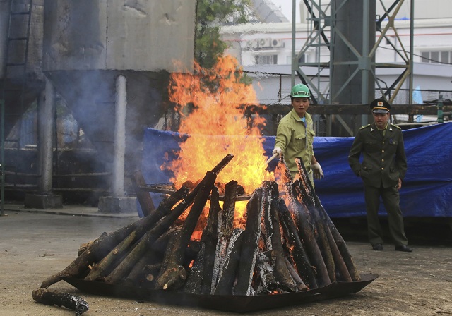 Zhabanú slonovinu pália vojaci v Hanoji 12. novembra 2016