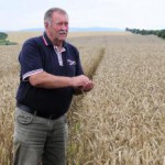 Agropodnikateľ Štefan Bačišin je s kvalitou pšenice spokojný