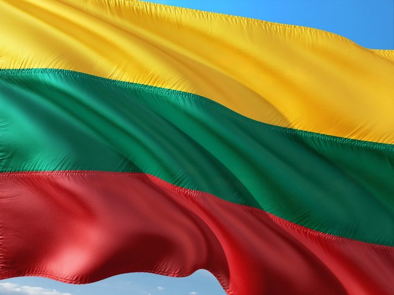 litva litovská vlajka