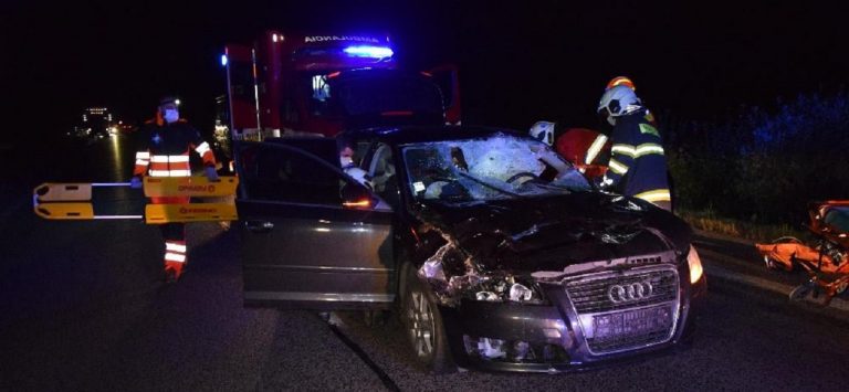 Medzi B. Bystricou a Breznom auto zrazilo jelenicu, vodič je v nemocnici