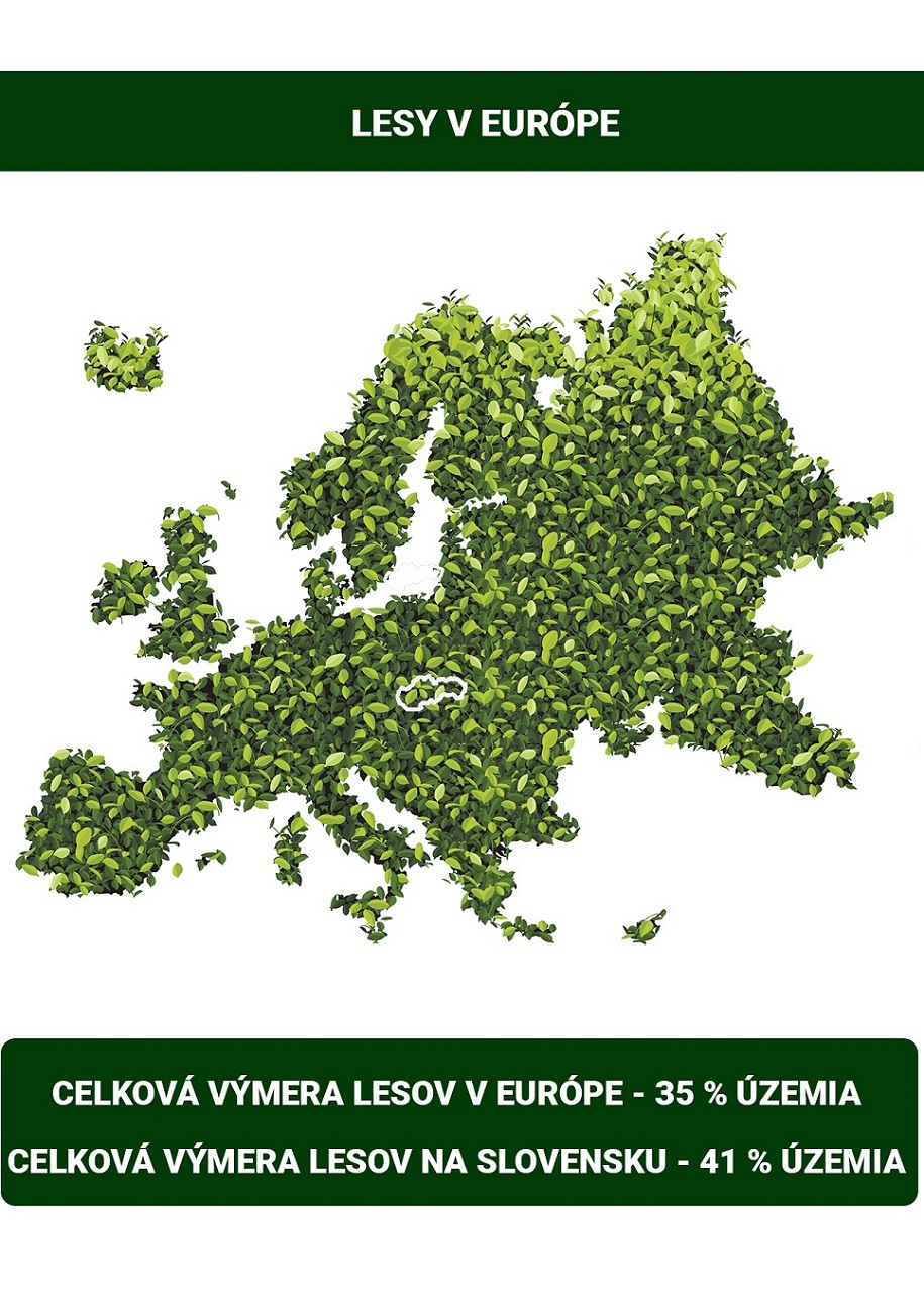 Lesy v Európe