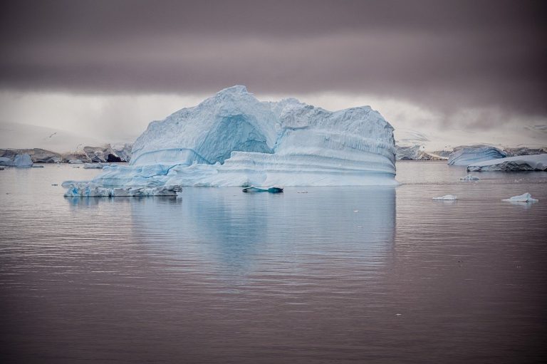 antarktida ladovec