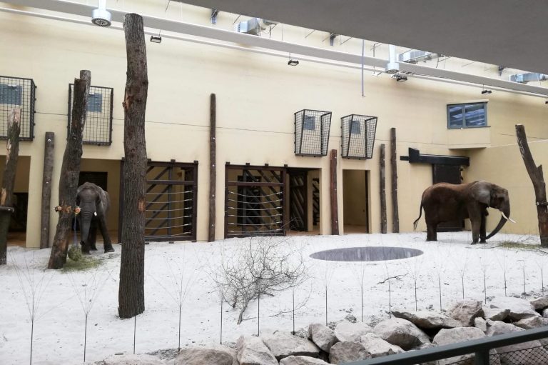 Národná zoologická záhrada v Bojniciach