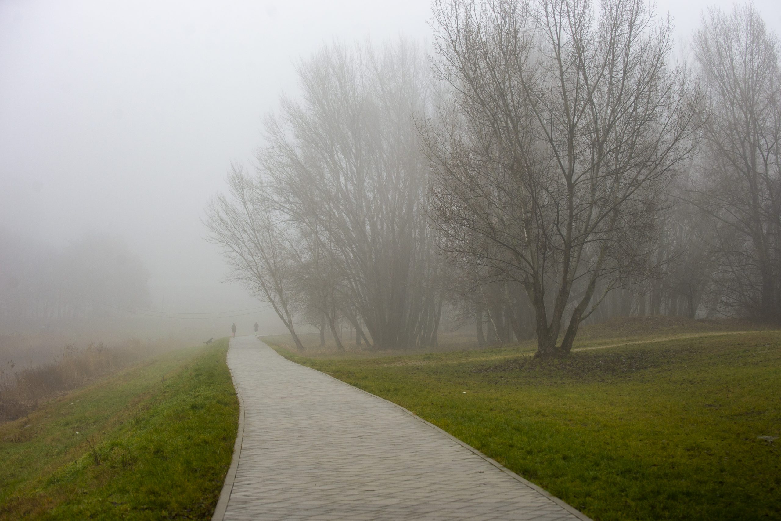 Výstrahy pred hmlou platia pre celé Slovensko v sobotu večer i v nedeľu, informuje SHMÚ