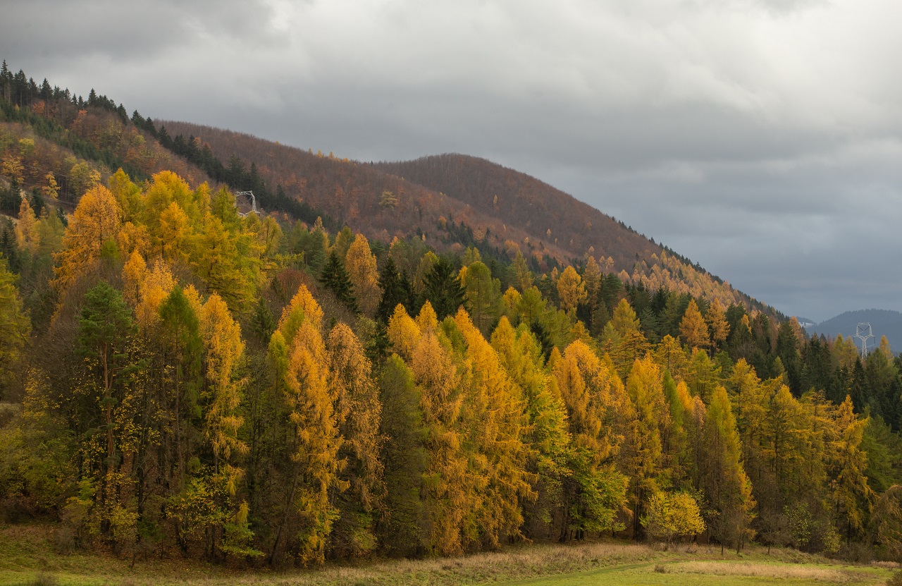 Predpoveď počasia pre Slovensko na pondelok 27. novembra