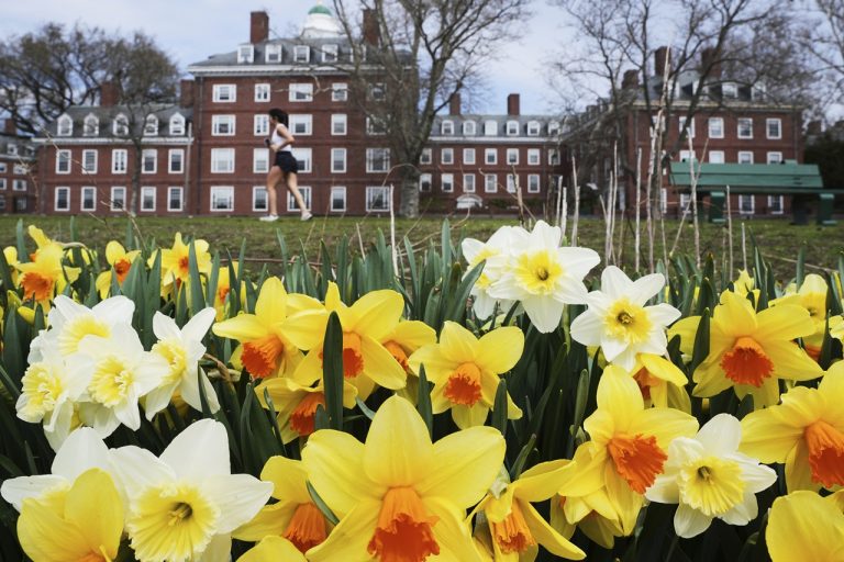Harvard