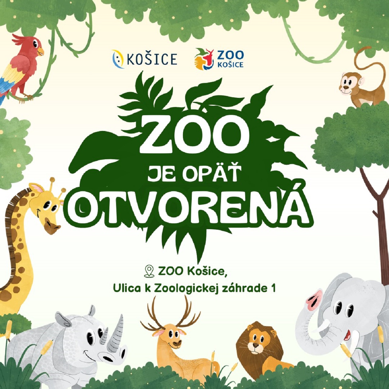 zoo