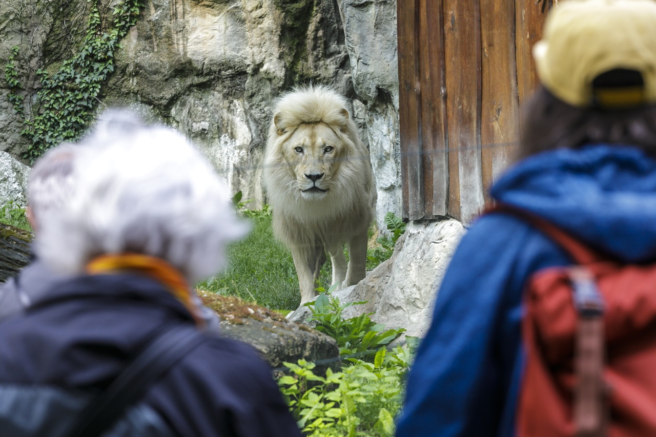 Bratislavská Zoo otvára opäť svoje brány pre verejnosť po dvoch mesiacoch