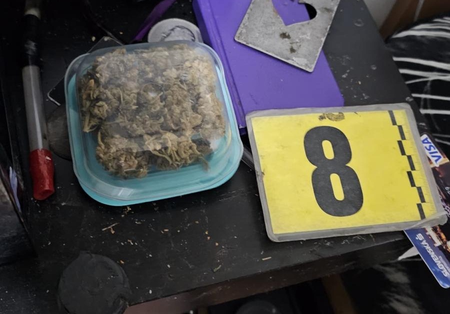 droga sušina z rodu Cannabis