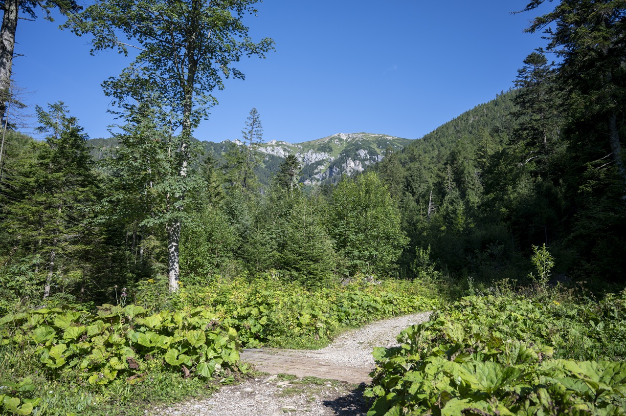 Vysoké Tatry Tanap turistika