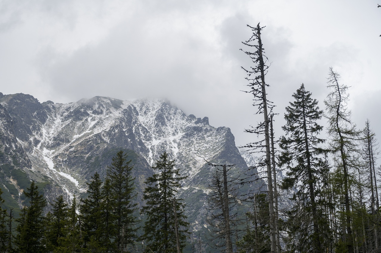 Vysoké Tatry počasie