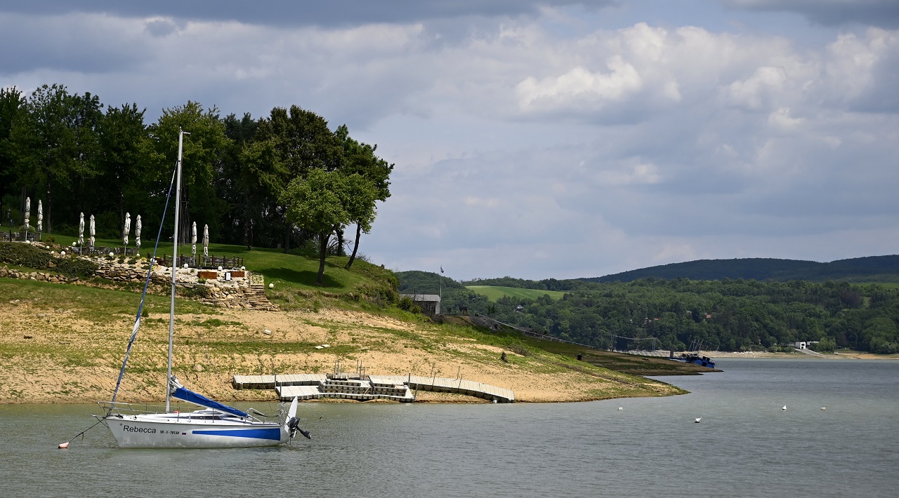 domasa