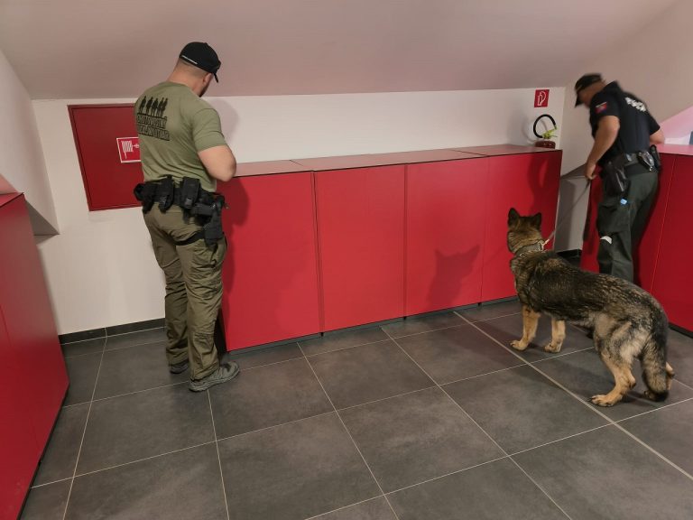 policia