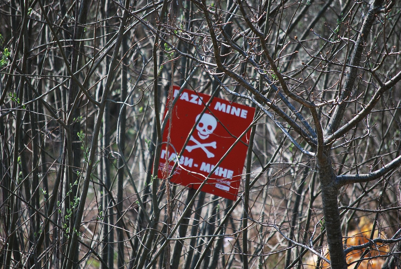 mínové pole