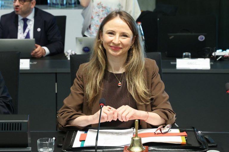 Agnieszka Dziemianowicz-Bąková