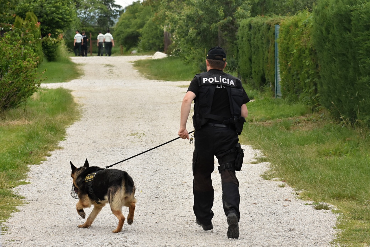 polícia psovod