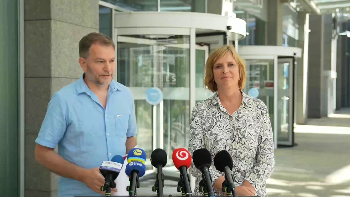 Matovič Remišová