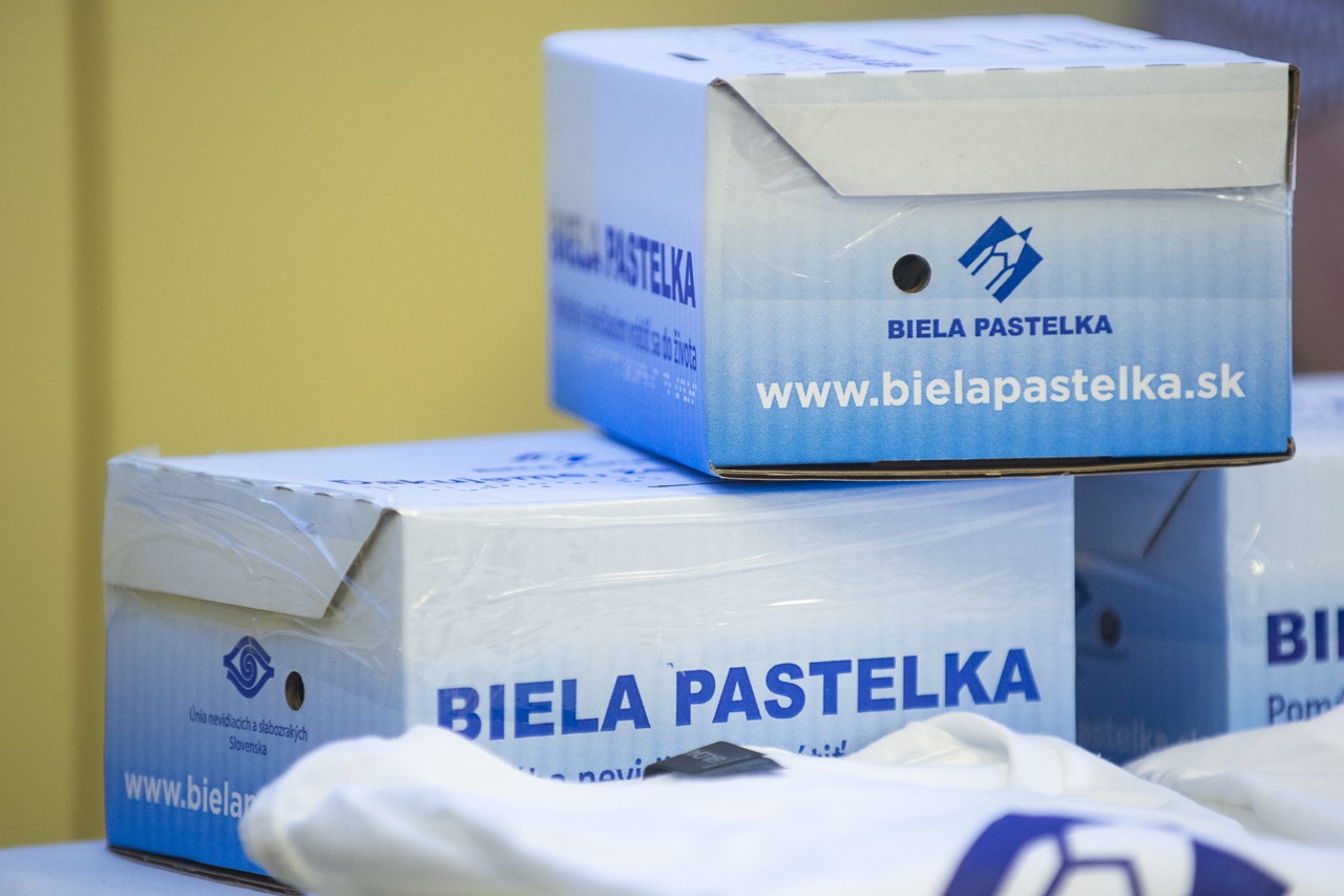 Biela pastelka zbierka-4465