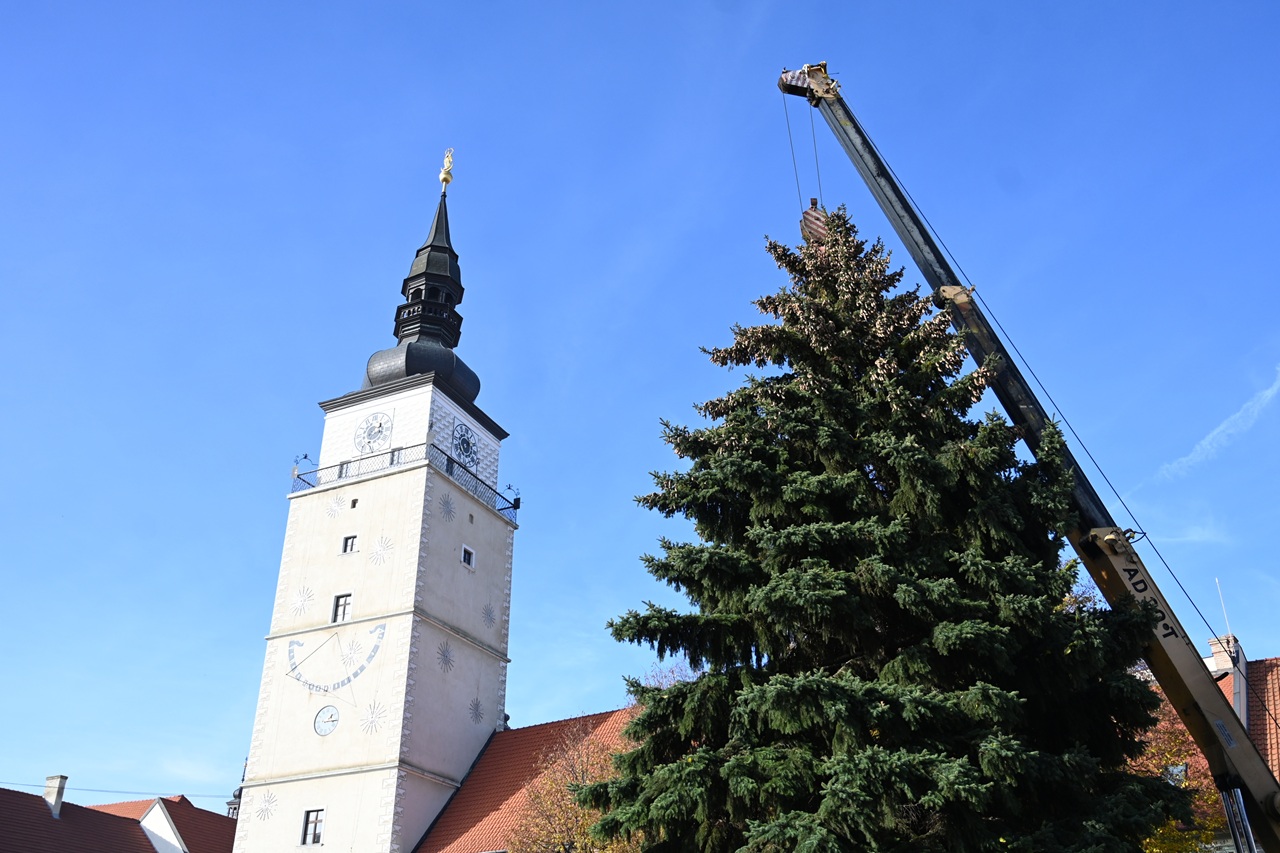Trnava vianočný stromček