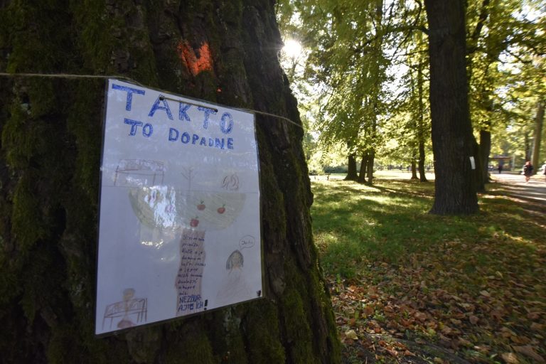 výrub stromov Banská Bystrica