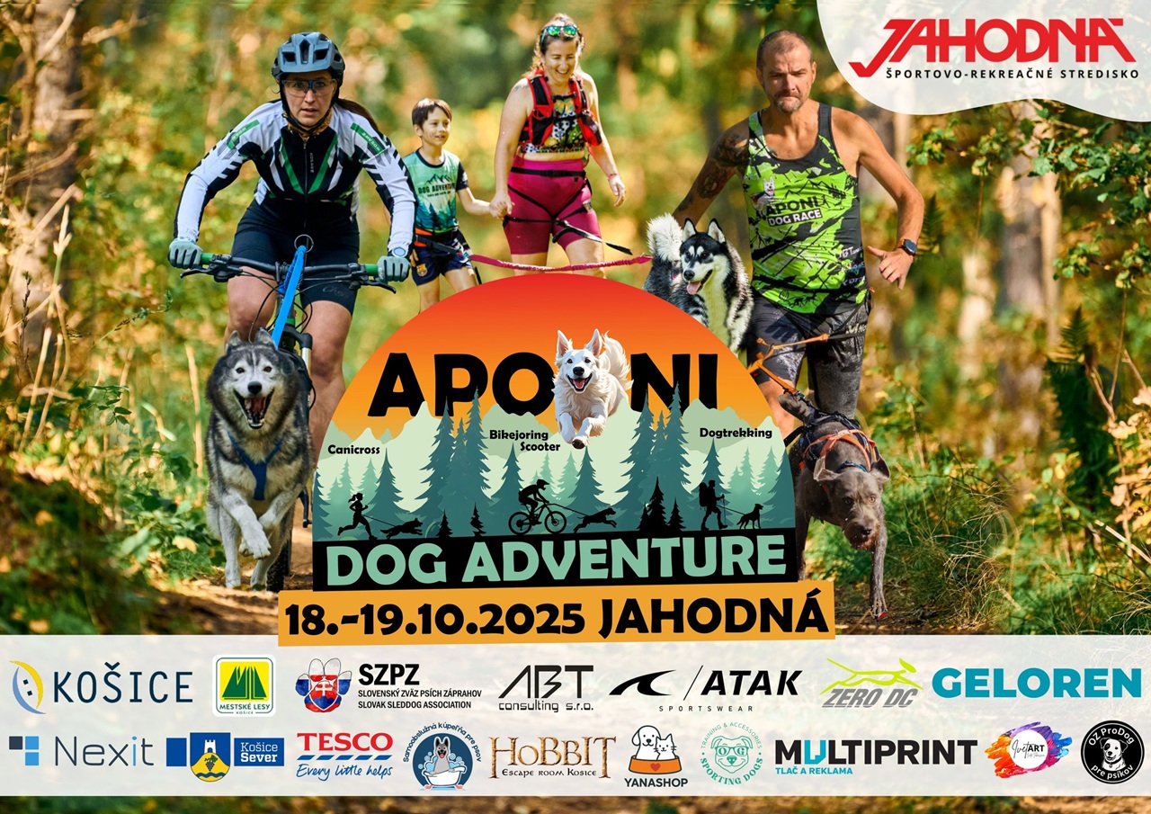Aponi Dog Adventure