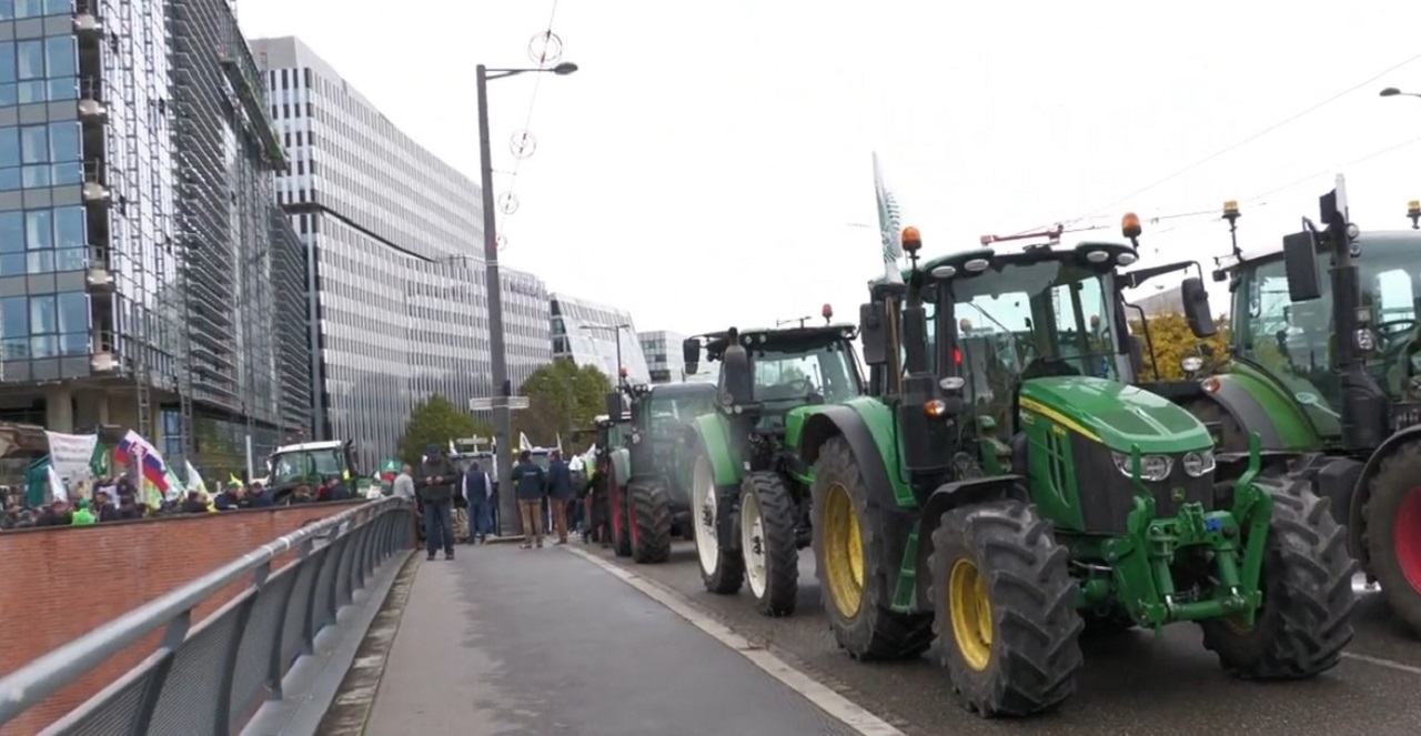 protest