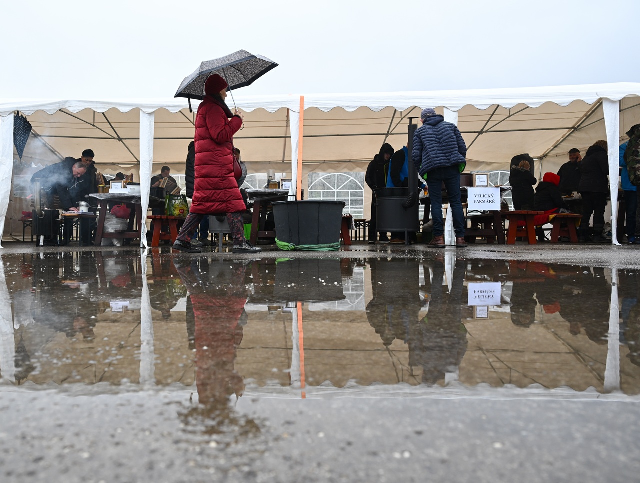 dážď-jd2025112504