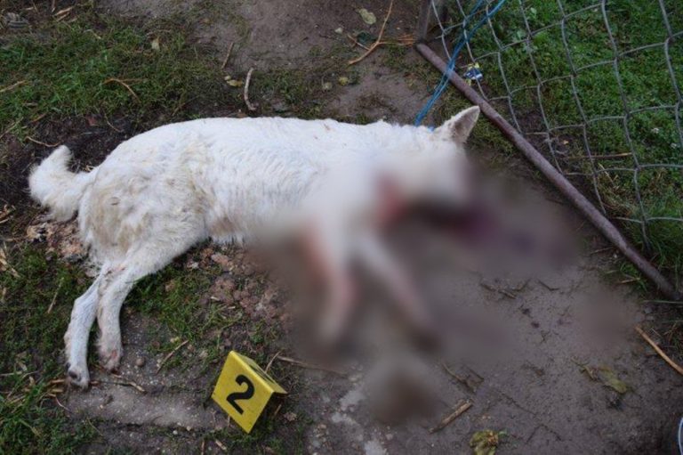 Polícia Slovenskej republiky