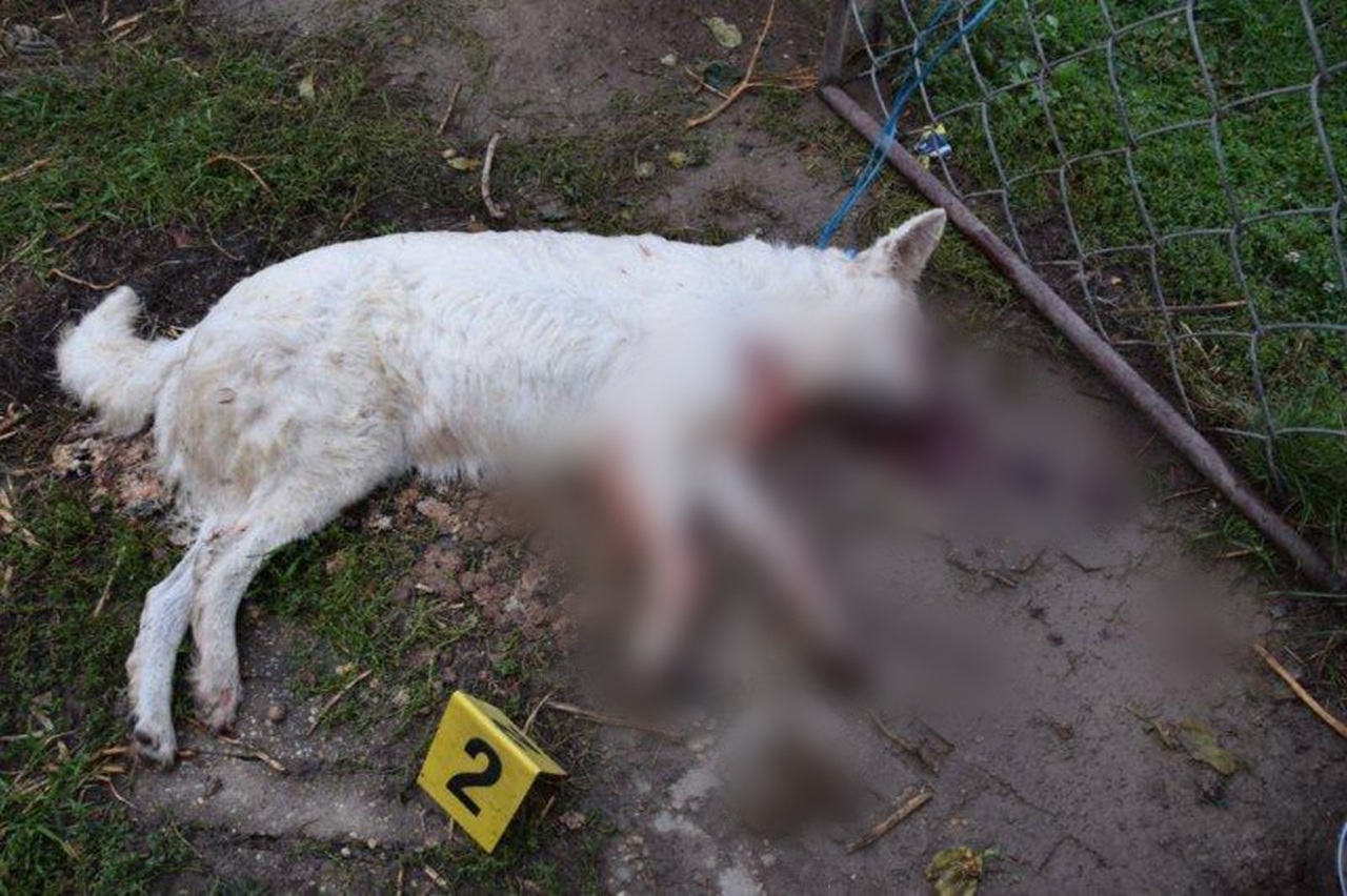 Polícia Slovenskej republiky