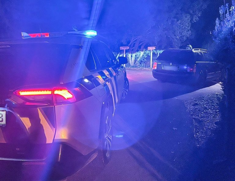 Tínedžer sa vozil na aute v obci Topoľčianky s rozbitým čelným sklom