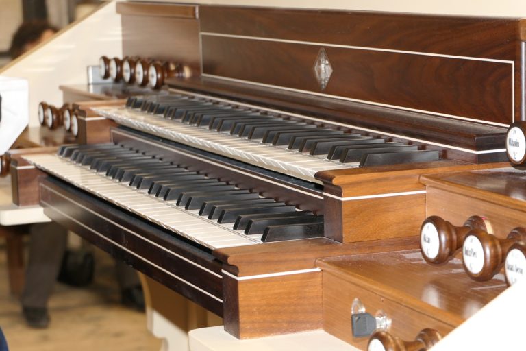 organ