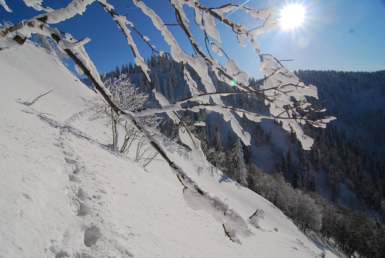 turizmus počasie zimné obdobie zima sneh zasnežené končiare vrch Suchý turisti nerešpektovanie zákazu nebezpečný úsek lavínové nebezpečenstvo lavíny