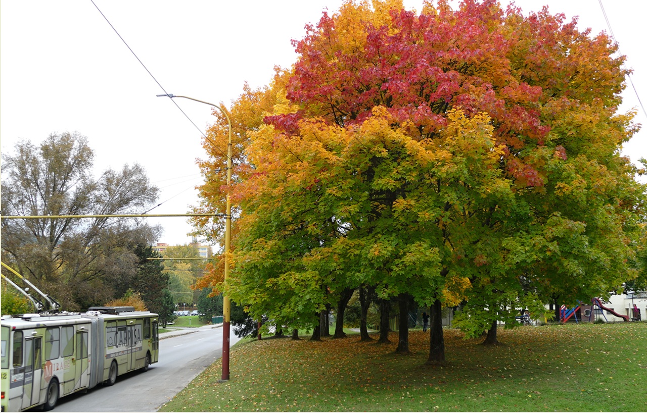 Žilina Sídlisko Vlčince