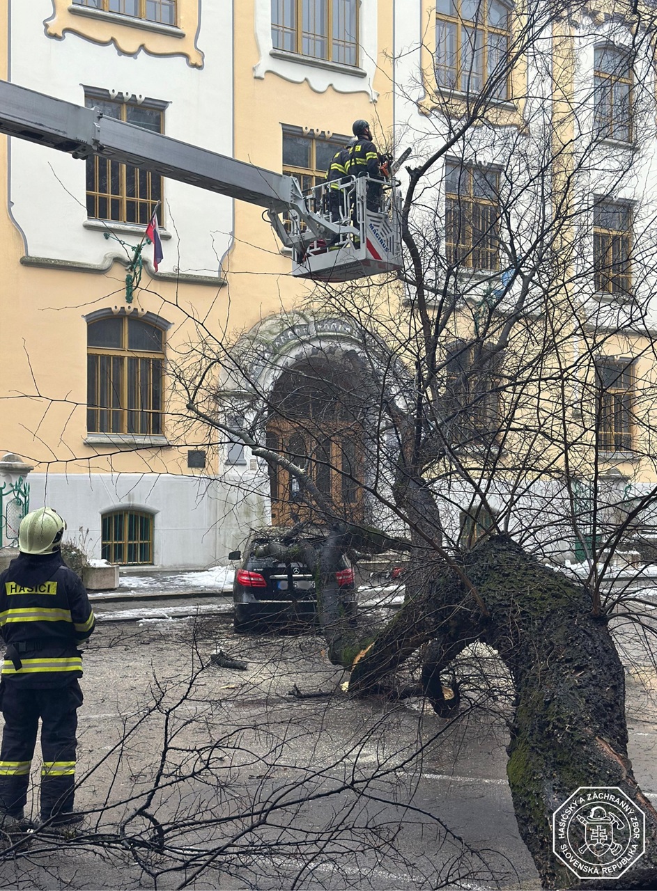 spadnutý strom HAZZ