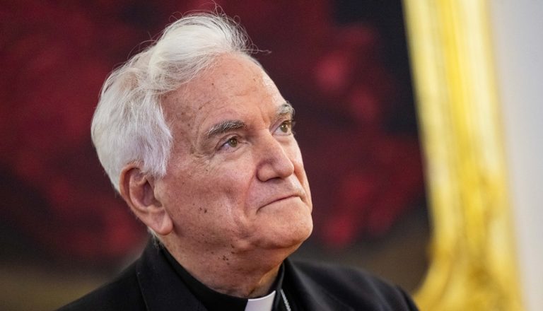 Girasoli-jd2026030225