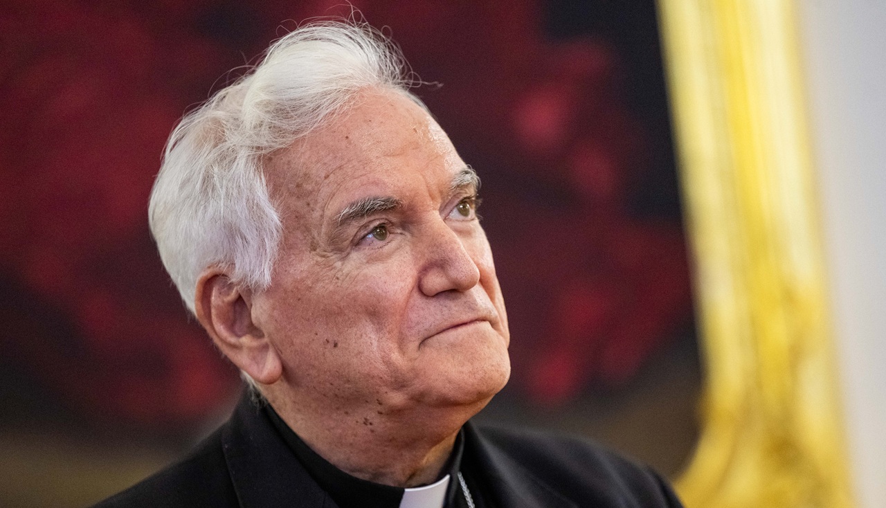 Girasoli-jd2026030225