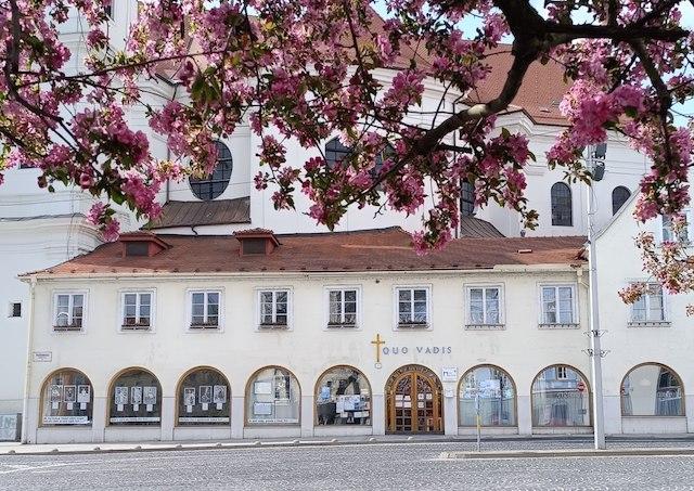 Quo Vadis-jd2026032517