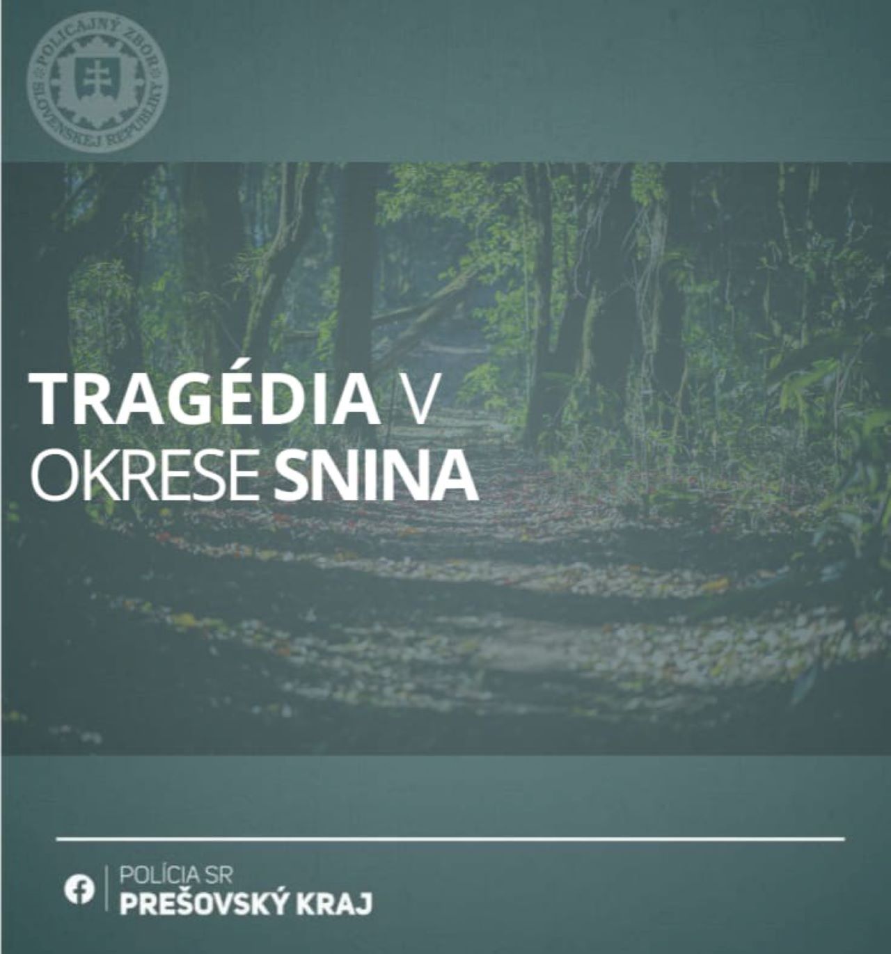tragická nehoda