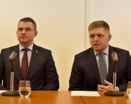 Pellegrini Fico 654789