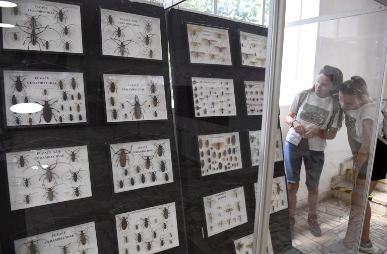 hmyz výstava-jd2026040109