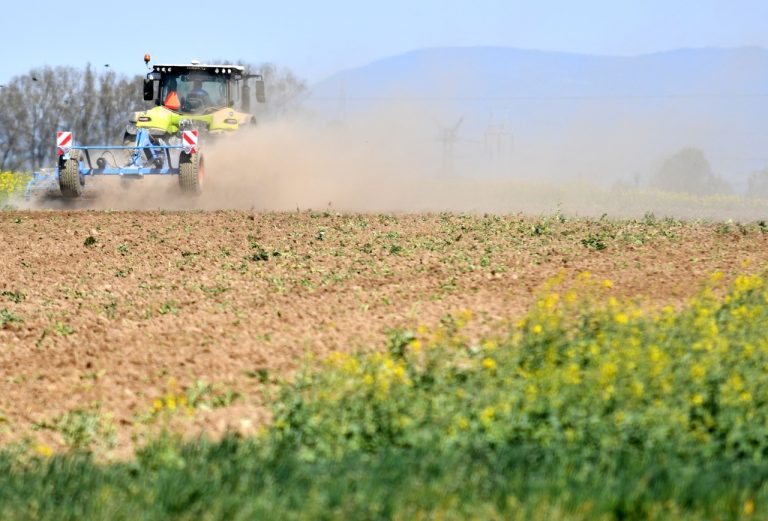 pôdohospodárstvo práce jarné pole sejba