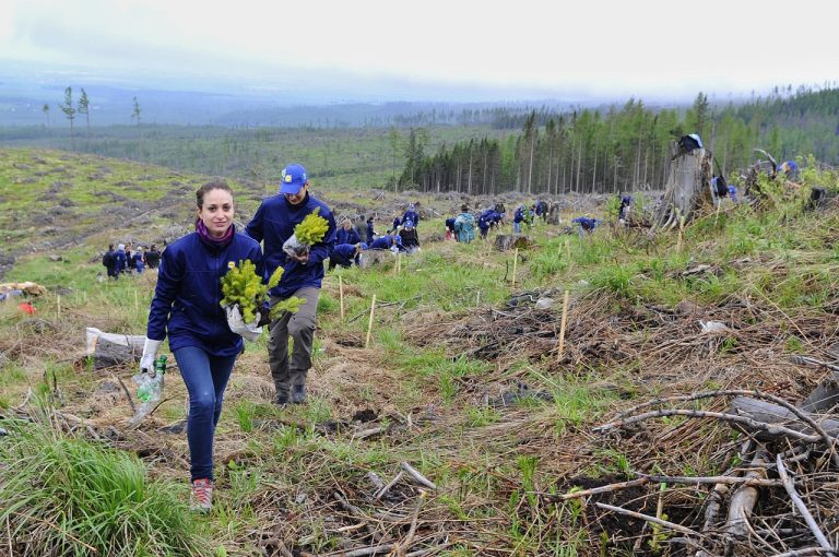 stromčeky-jd2026041409