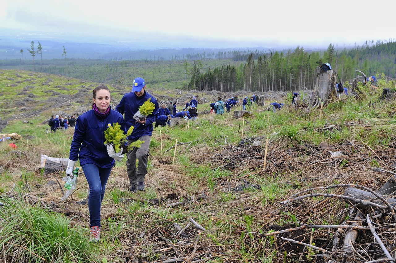stromčeky-jd2026041409