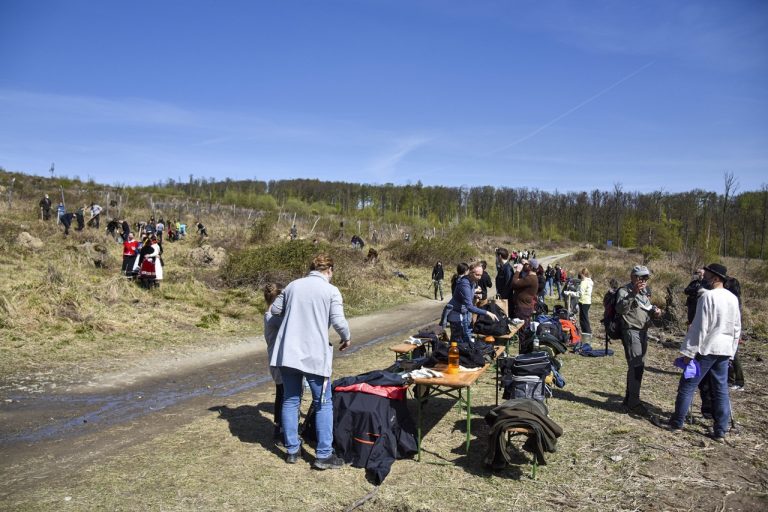 výsadza-jd2026040104